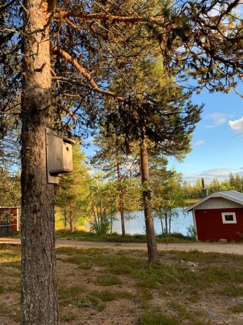 Off-Grid Cabin In Nattavaara Lapland المظهر الخارجي الصورة