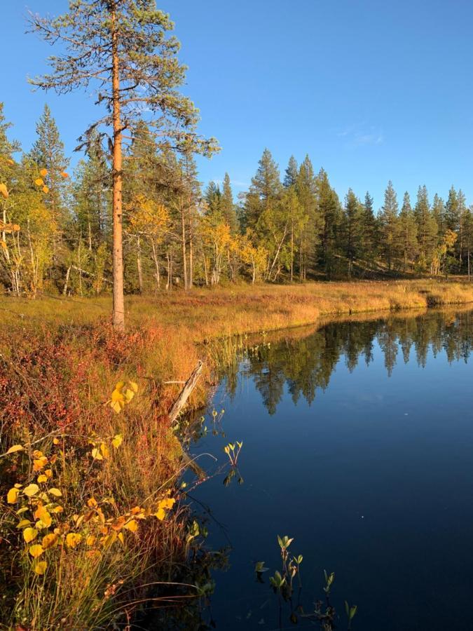 Off-Grid Cabin In Nattavaara Lapland المظهر الخارجي الصورة