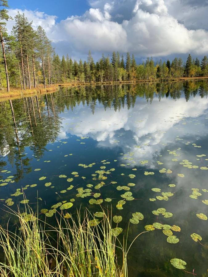 Off-Grid Cabin In Nattavaara Lapland المظهر الخارجي الصورة