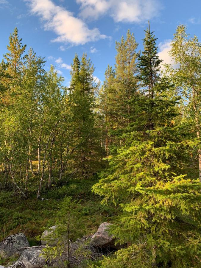 Off-Grid Cabin In Nattavaara Lapland المظهر الخارجي الصورة