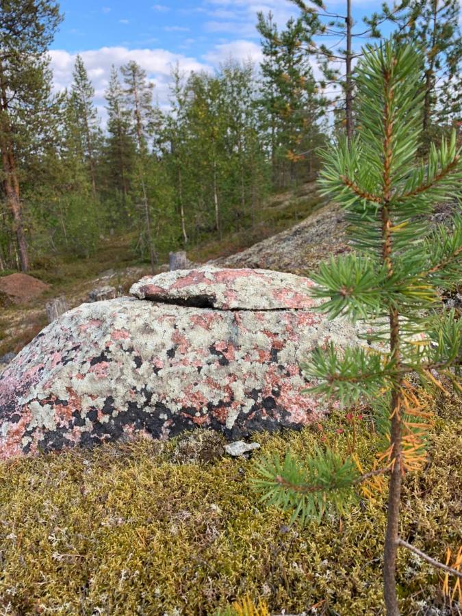 Off-Grid Cabin In Nattavaara Lapland المظهر الخارجي الصورة