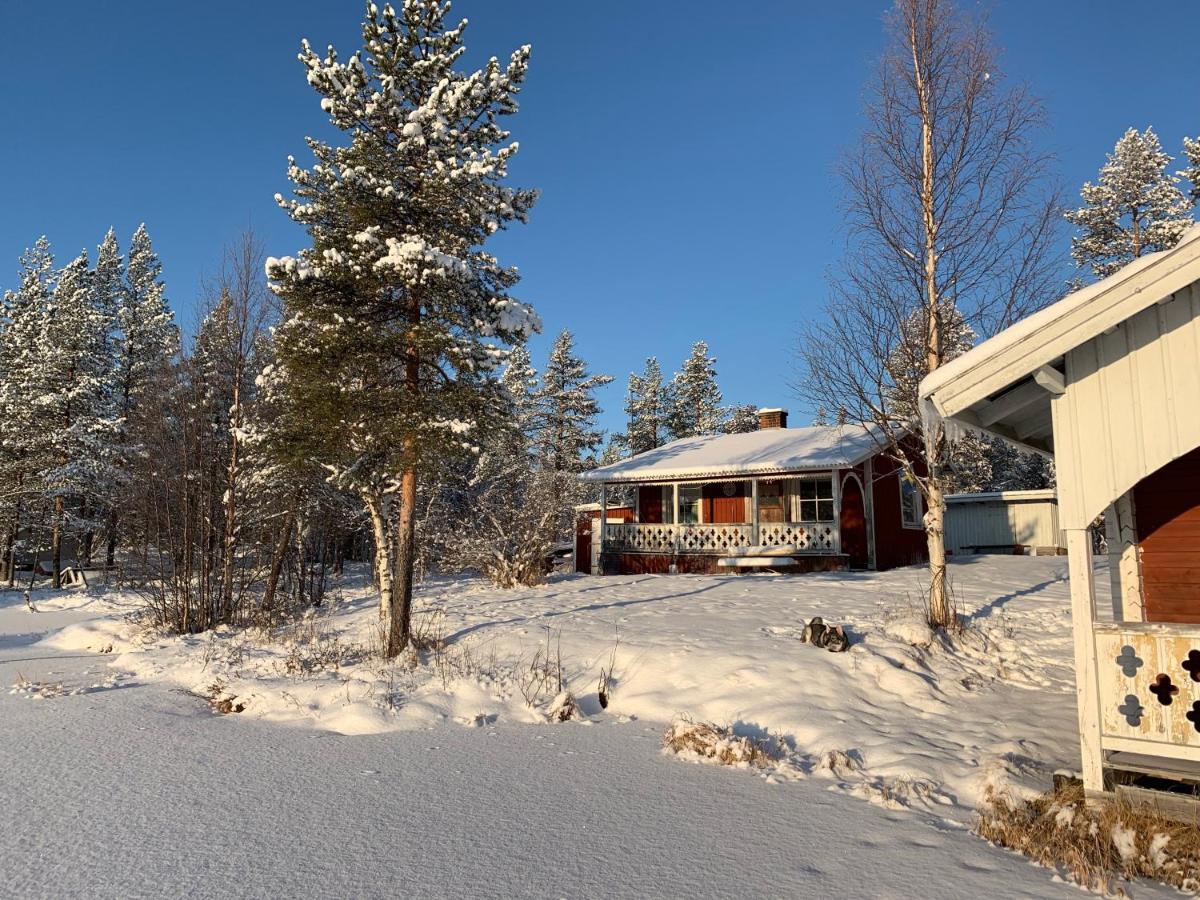 Off-Grid Cabin In Nattavaara Lapland المظهر الخارجي الصورة