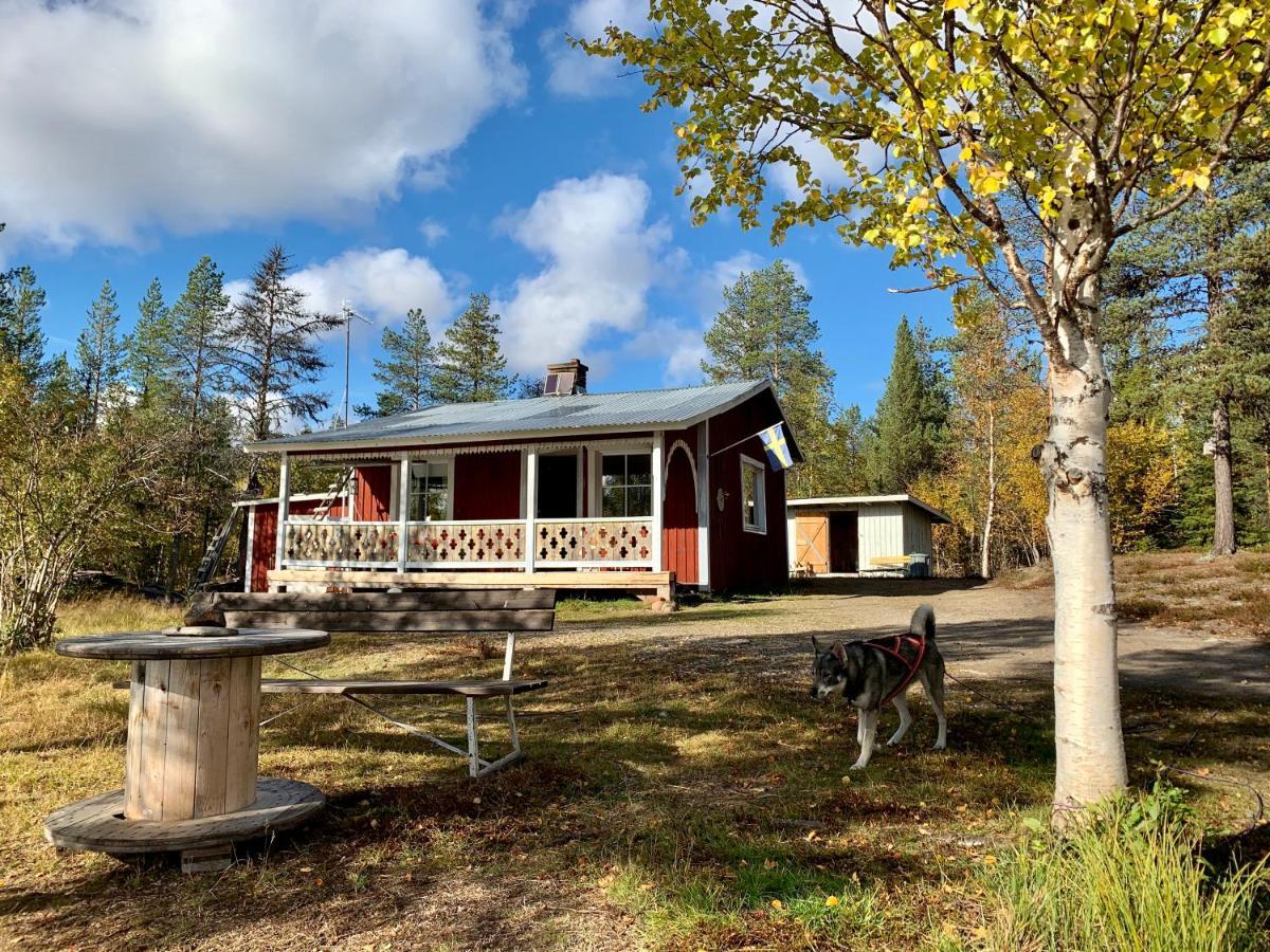 Off-Grid Cabin In Nattavaara Lapland المظهر الخارجي الصورة