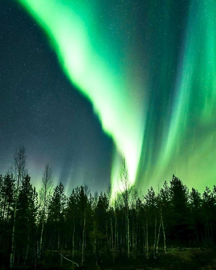 Off-Grid Cabin In Nattavaara Lapland المظهر الخارجي الصورة