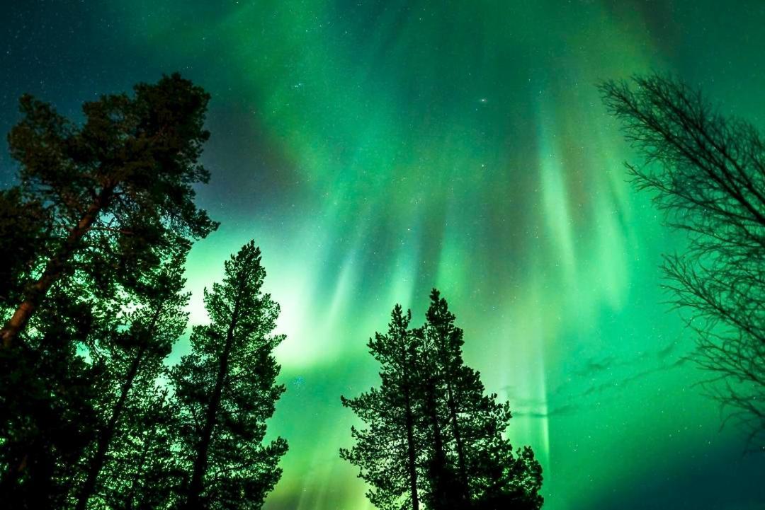 Off-Grid Cabin In Nattavaara Lapland المظهر الخارجي الصورة